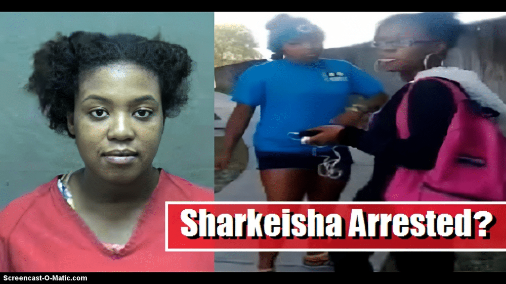 Where Is Sharkeisha Now About The 2013 Viral Video Gripeo